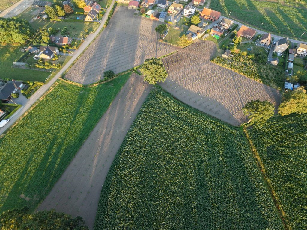 Luchtbeeld recht van boven: de Paulownia-aanplant ligt ingebed tussen de omliggende akkers, tuinen en woningen te Retie.