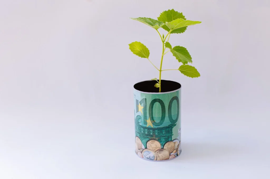 Een jonge Paulownia-zaailing in een potje met een biljet van honderd euro (ter illustratie van het verdienmodel).
